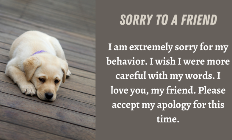 Sorry Messages for Friend