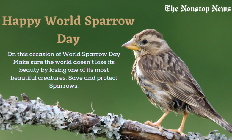 Happy World Sparrow Day 2021 Quotes, Messages, Greetings, Wishes, and HD Images to Share