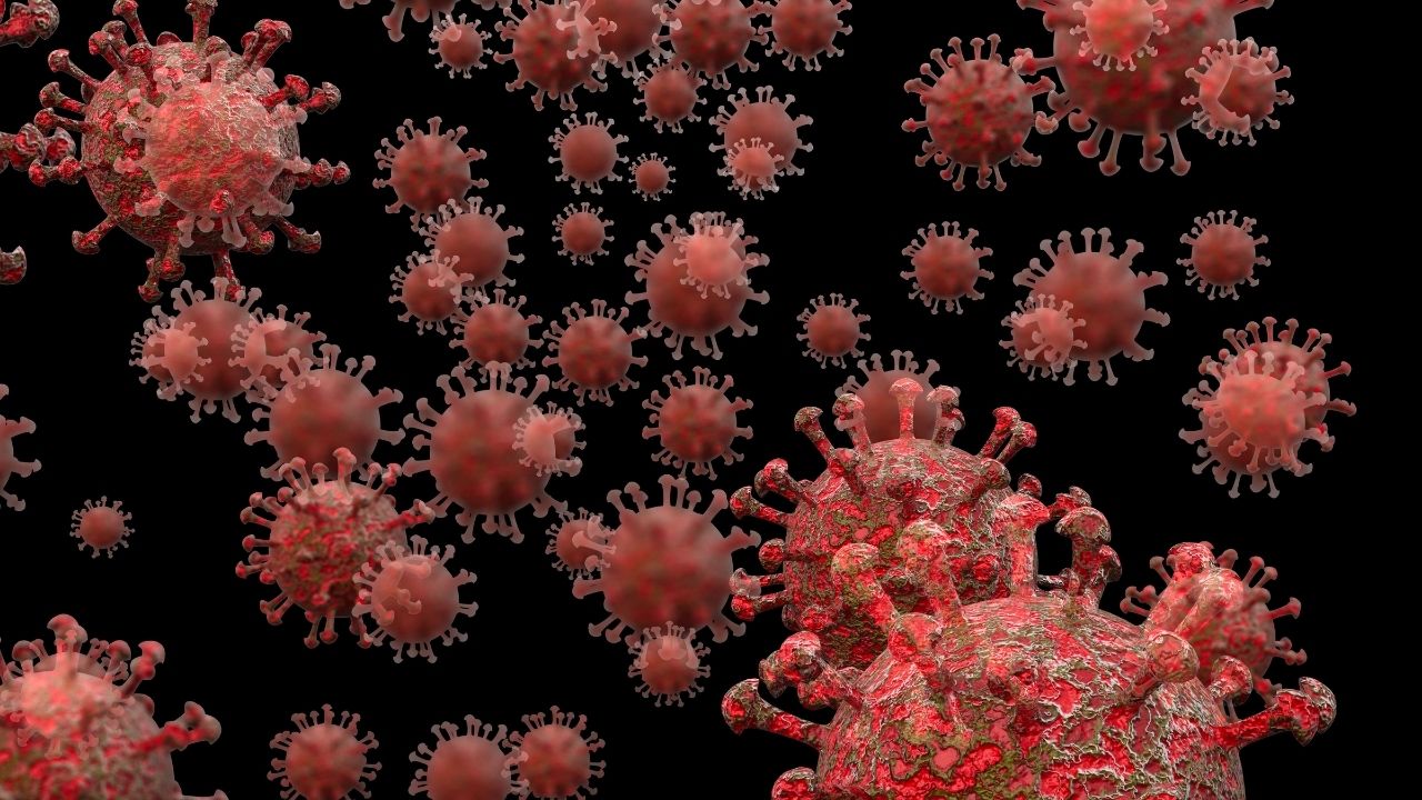 Coronavirus: 133048 new cases of corona in 24 hours, 3204 deaths
