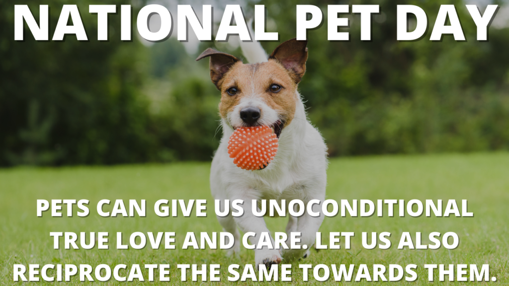National Pet Day 2021 Quotes, Poster, Messages, Wishes, Greetings, and