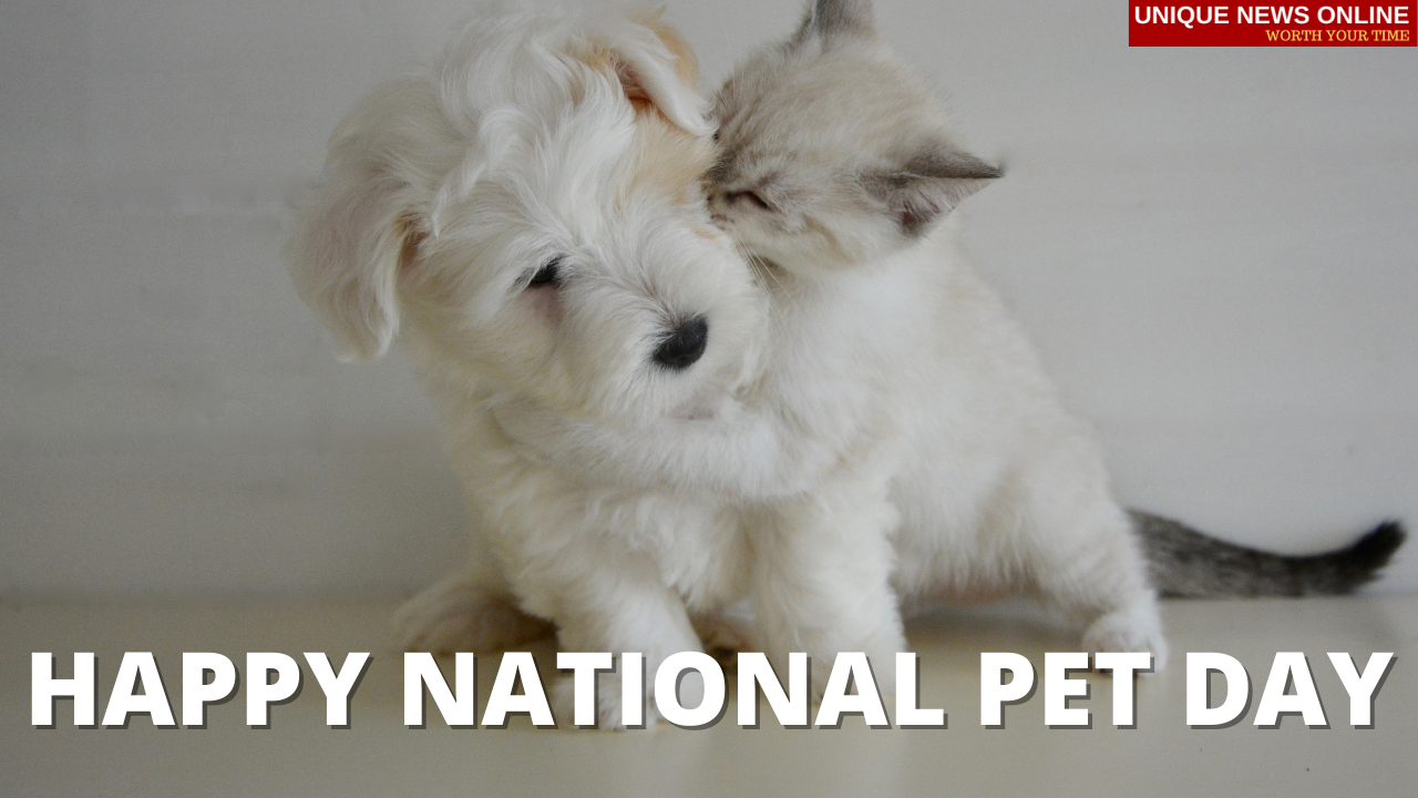 National Pet Day 2021 Quotes, Poster, Messages, Wishes, Greetings, and Images to share
