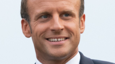 Emmanuel Macron: Video: French President Emmanuel Macron's ear stone; Both arrested