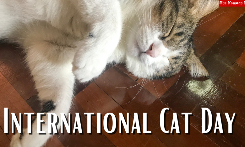 International Cat Day 2021 Quotes, Poster, Images, Memes, Messages, and Greetings to Share