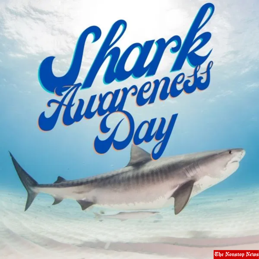 Shark Awareness Day 2021 Theme, Quotes, Images, Messages, and More to