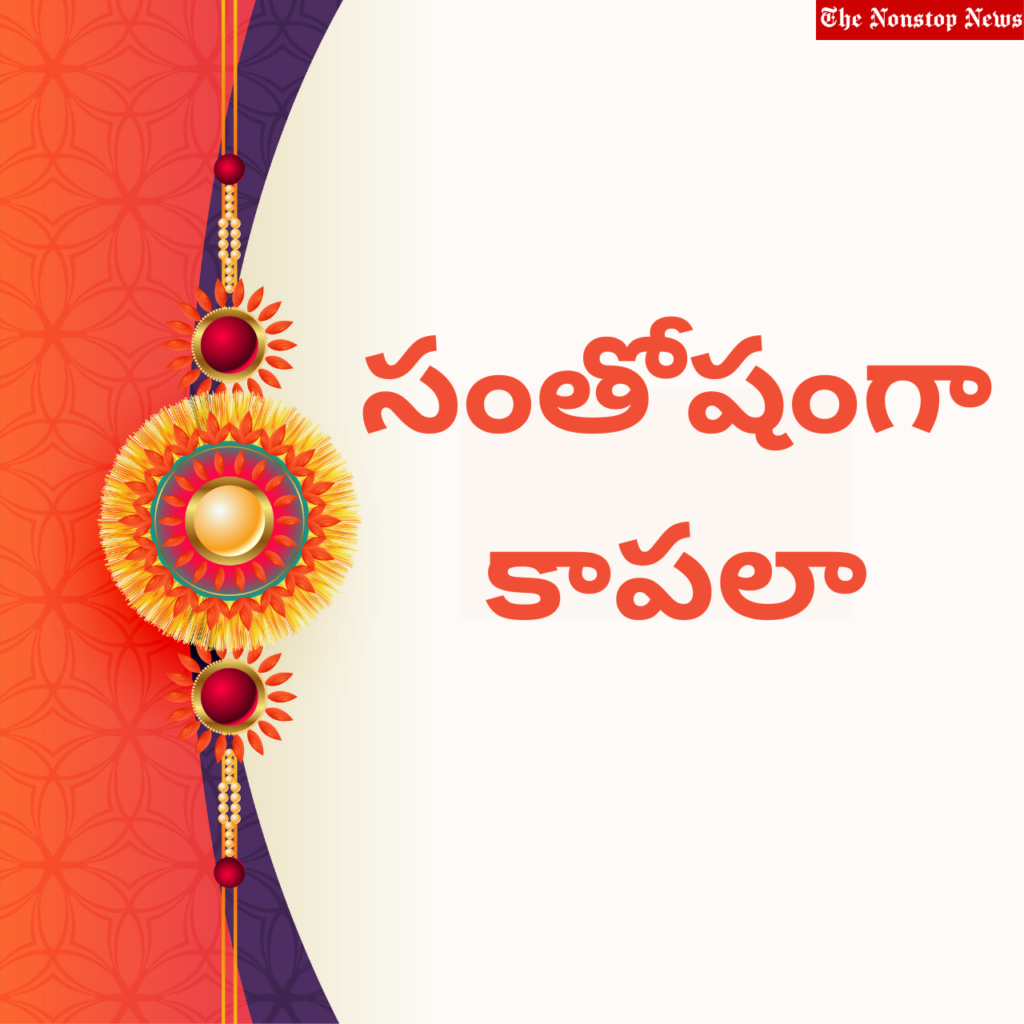 Happy Raksha Bandhan Wishes in Telugu