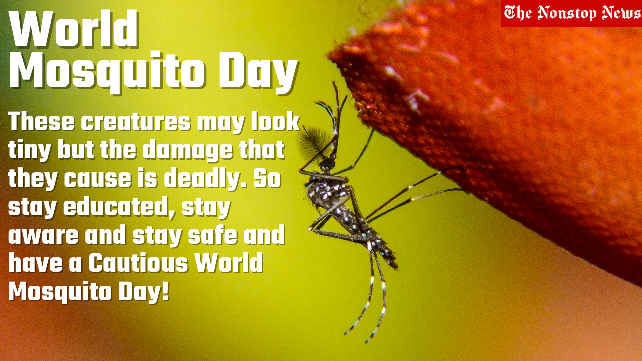 World Mosquito Day 2021 Theme, Poster, Quotes, Slogans, Images, and Messages to raise awareness about the causes of malaria and how it can be prevented