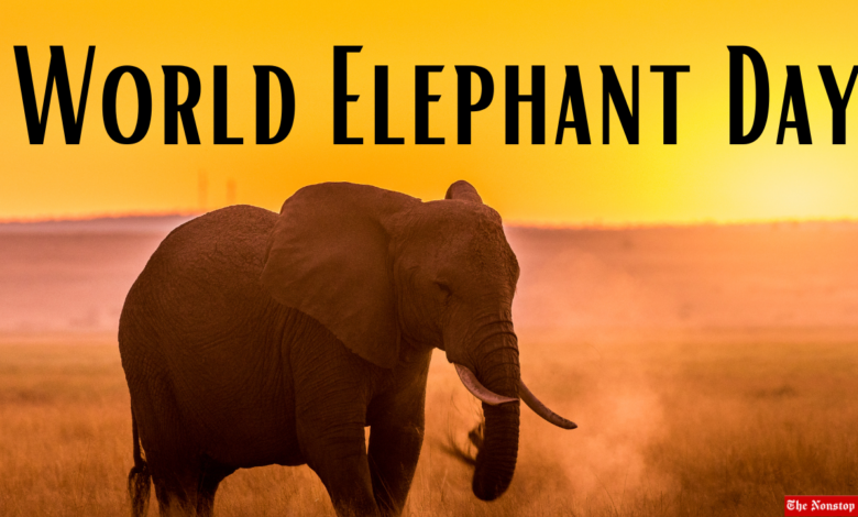 World Elephant Day 2021 Theme, Quotes, Messages, Wishes, Slogans, GIf, and HD Images to create Awareness
