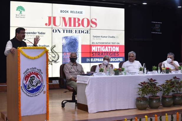 WhatsApp Image 2021-09-29 at 17.15.48.jpeg