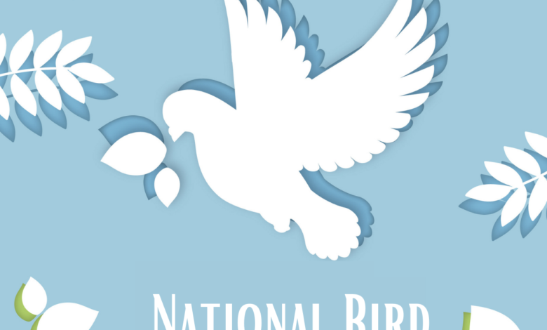 National Bird Day (USA) 2022 Wishes, Quotes, Memes, Greetings, Social Media Posters, Instagram Captions to share