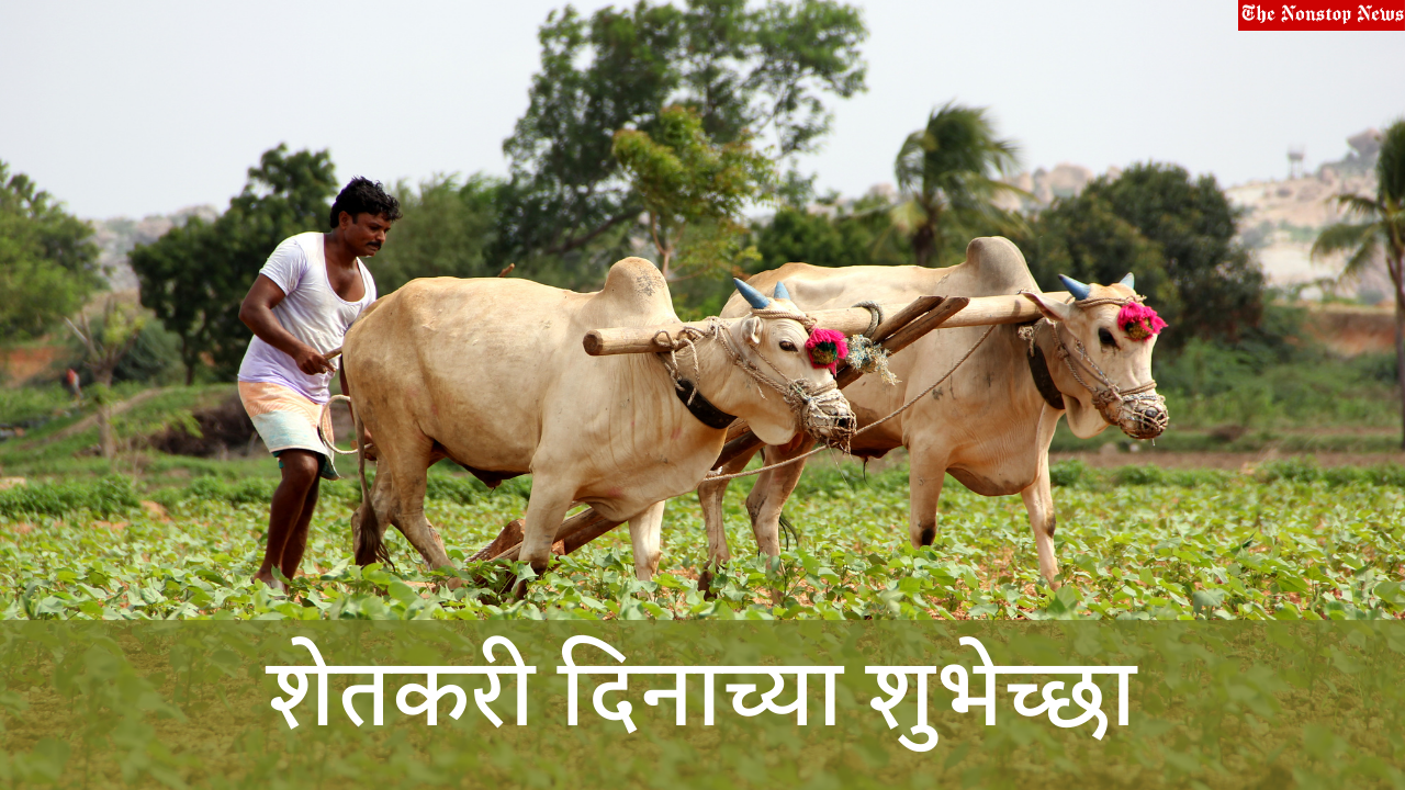 Farmers Day 2021 Marathi Wishes, Slogans, Quotes, HD Images, Greetings, Poster, Banner, and Messages to greet your friends and family on Kisan Diwas