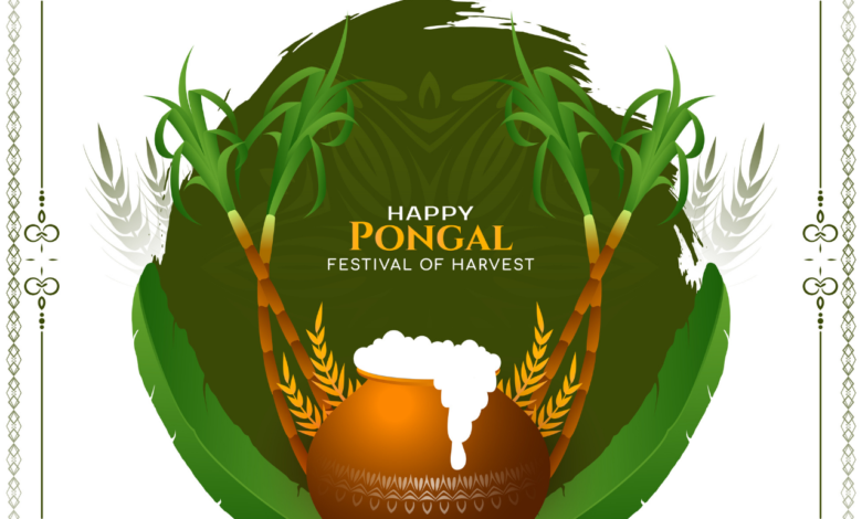 Pongal 2022 Instagram Captions, Facebook Status, Social Media Posts, Tweets to greet your friends and family