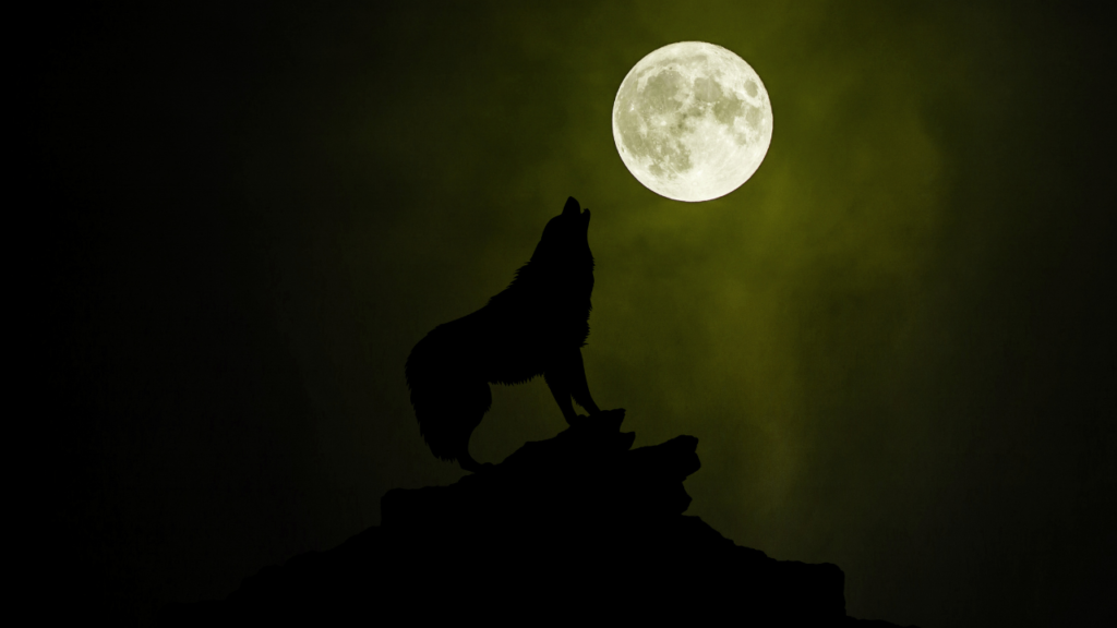 Wolf Moon Messages