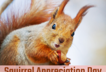 Squirrel Appreciation Day (USA) 2022: HD Images, Memes, Cliparts, Quotes, Messages, Greetings to celebrate the world’s cutest rodents