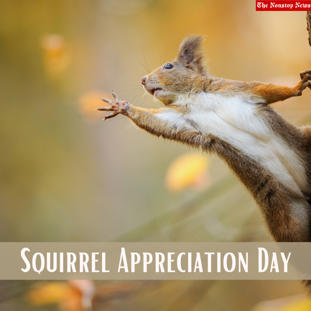 Squirrel Appreciation Day 