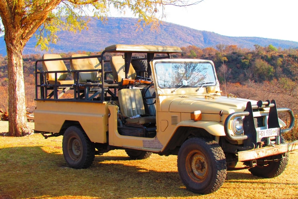 Where is the best place to go for a safari holiday