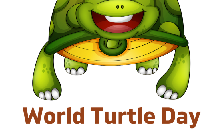 World Turtle Day 2022: Current Theme, Top Quotes, HD Images, and Messages to help people celebrate and protect turtles and tortoises