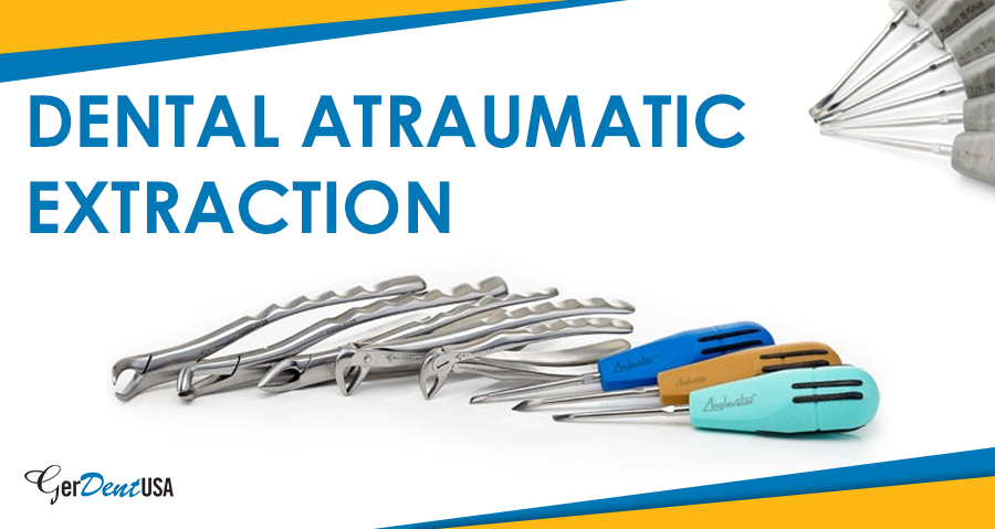Common Dental Surgical Instruments in a Tooth Extraction Kit