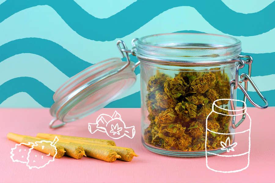 Top 5 Cannabis Courses Online For Beginners