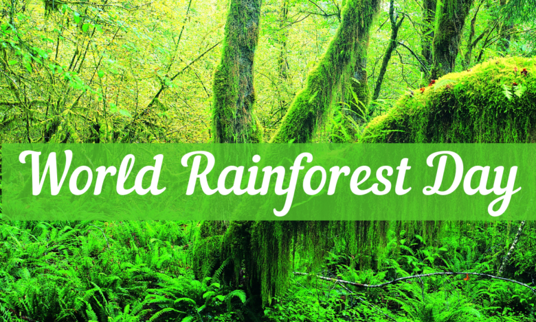 World Rainforest Day 2022: Current Theme, Quotes, Images, Messages, Greetings, Posters, To Share