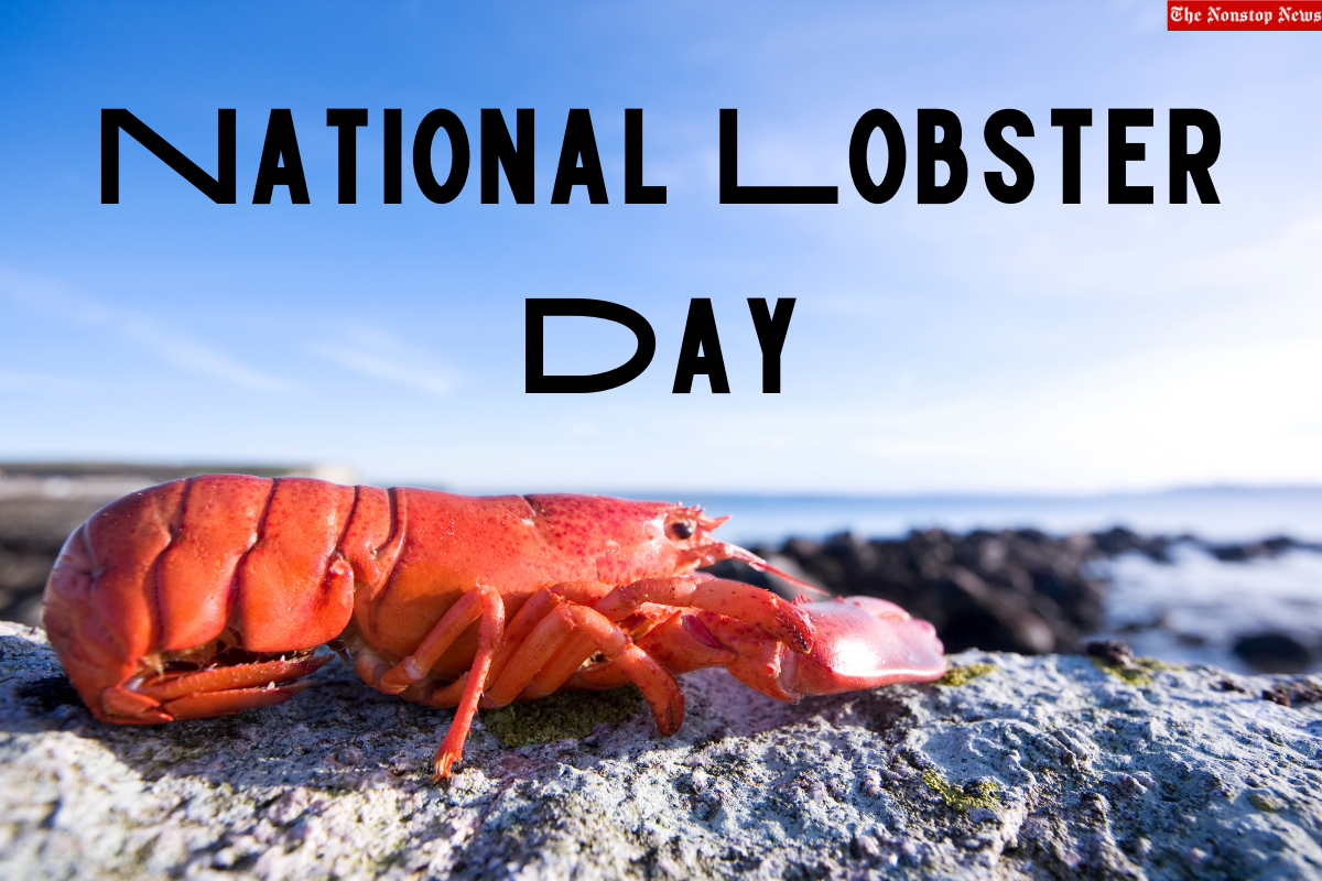 National Lobster Day in the US 2022: HD Images, Messages, Quotes, Sayings, and Captions