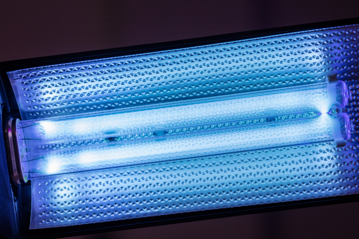 How UV Disinfection Protects Spaces From E. coli and Salmonella