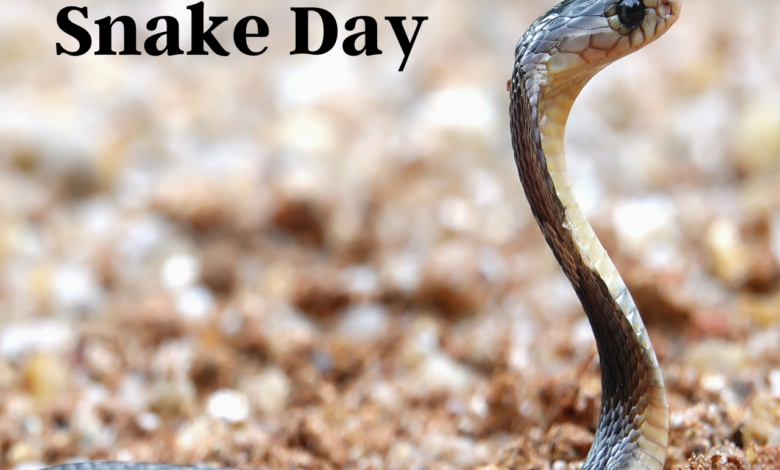 World Snake Day 2022: Current Theme, Quotes, Images, Messages, Greetings, Posters, Slogans, Wishes to Create Awareness Among Masses