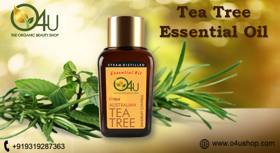Benefits of Tea Tree Essential Oil