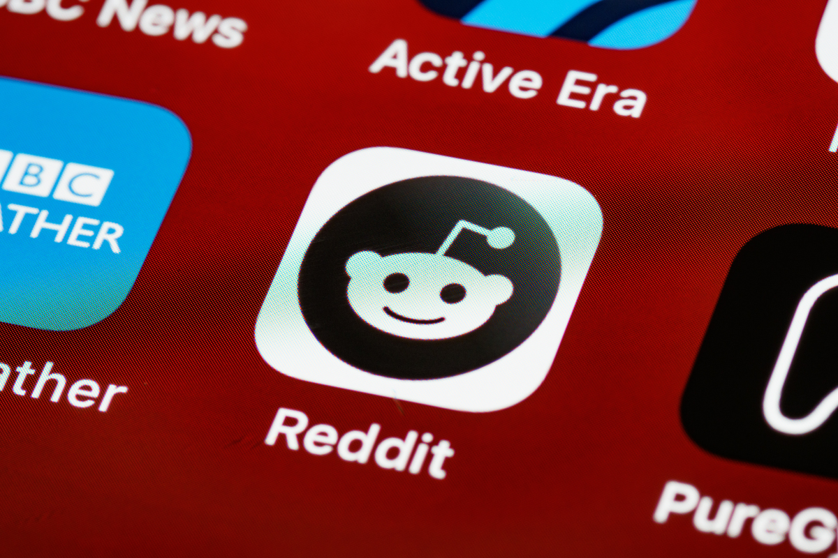 The Advertisement and Promotional Rules and Strategies on Reddit