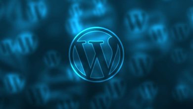 Top 5 WordPress Plugins For Your Business Website