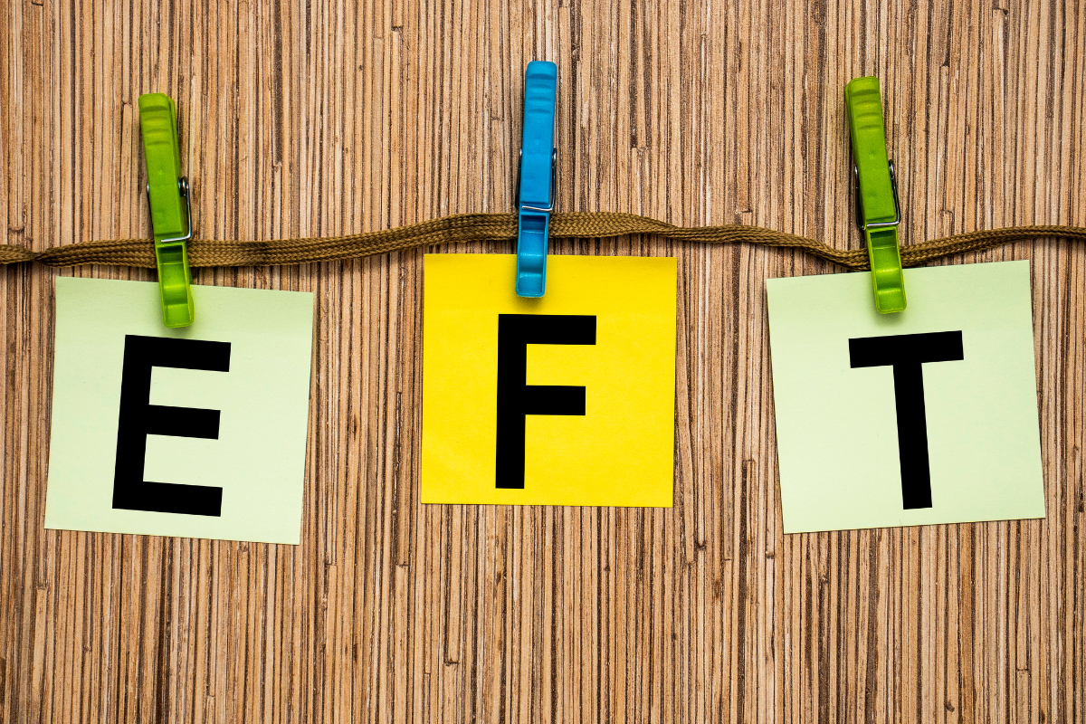A Beginners Guide To Understanding Stocks and ETFs