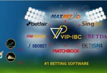 Is VIP-IBC the best betting platform?