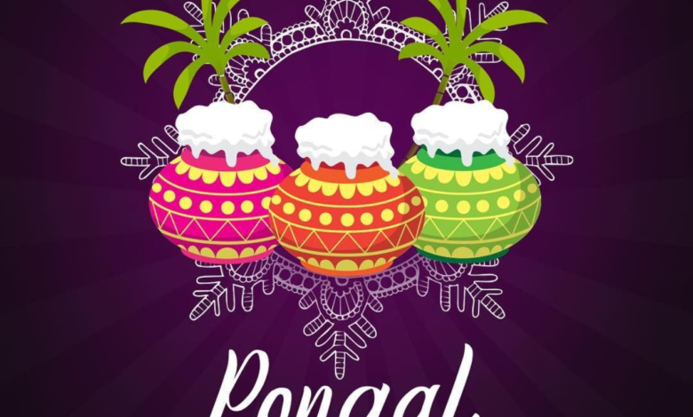 Happy Pongal 2024: 30+ Best WhatsApp Status Videos to Download For Free