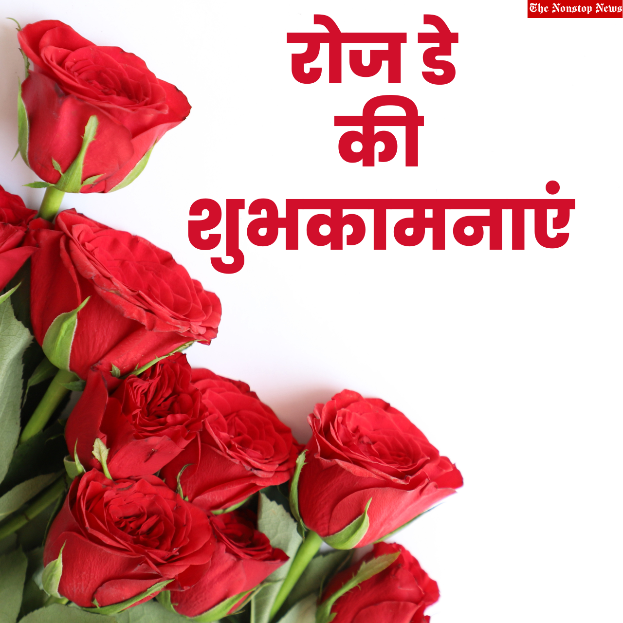 Top Rose Day 2023 Hindi Greetings, Shayari, Quotes, Images, Messages, Wishes, Banners, Sayings, Posters, Captions for Boyfriend/Girlfriend