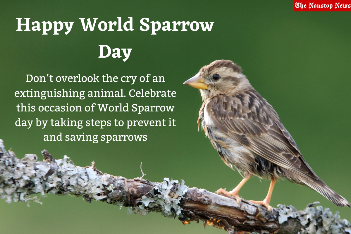 World Sparrow Day 2023 Theme, Images, Slogans, Quotes, Messages, Images, Wishes, Greetings and Cliparts