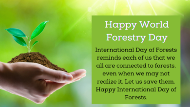 World Forestry Day 2023: International Day of Forests Theme, Images, Messages, Quotes, Greetings, Wishes, Sayings, Posters, Banners and Drawings
