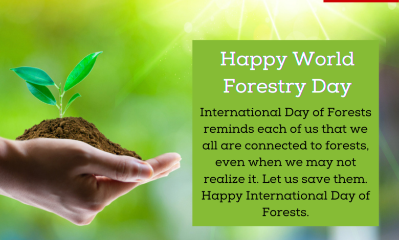 World Forestry Day 2023: International Day of Forests Theme, Images, Messages, Quotes, Greetings, Wishes, Sayings, Posters, Banners and Drawings