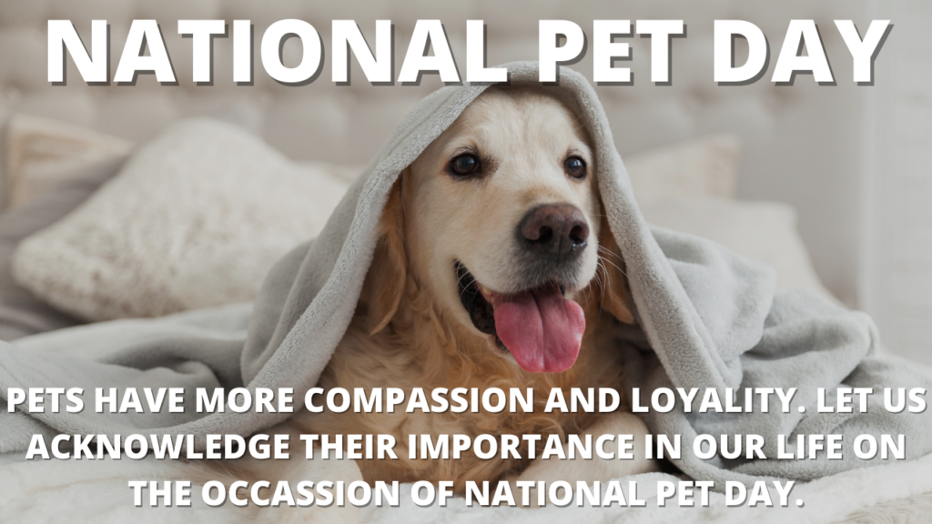 National Pet Day 2023 in India Quotes, Messages, Images, Greetings