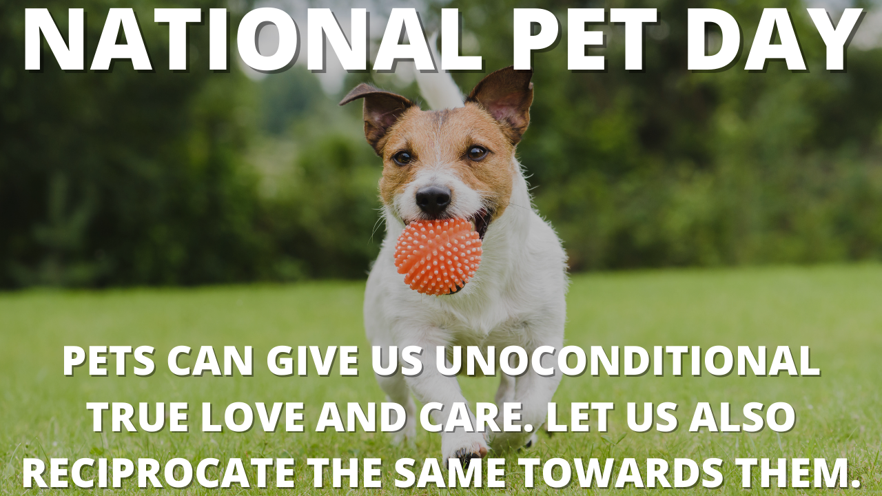 National Pet Day 2023 in India: Quotes, Messages, Images, Greetings, Posters, Wishes, Sayings, Banners and Slogans