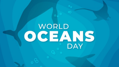 World Oceans Day 2023: Current Theme, Quotes, Posters, Banners, Slogans, Greetings, GIFs, Images, Messages, Sayings, Cliparts and Captions