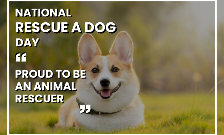 National Rescue Dog Day 2023 Images, Quotes, Posters, Banners, Wishes, Greetings, Sayings, and Slogans