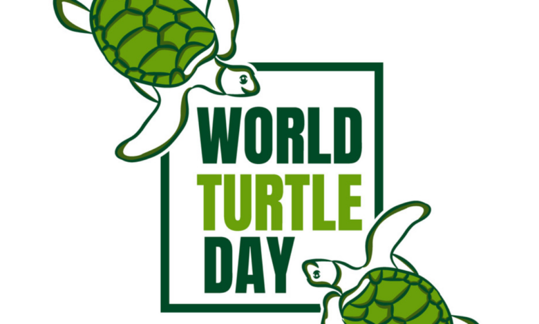 World Turtle Day 2023 Theme, Quotes, Images, Cliparts, Posters, Banners, Captions, Slogans, Sayings, Wishes