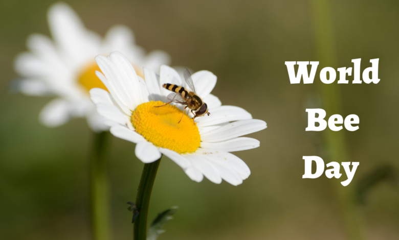 World Bee Day 2023: Current Theme, Quotes, Images, Messages, Greetings, Wishes, Captions, Cliparts, Posters and Banners