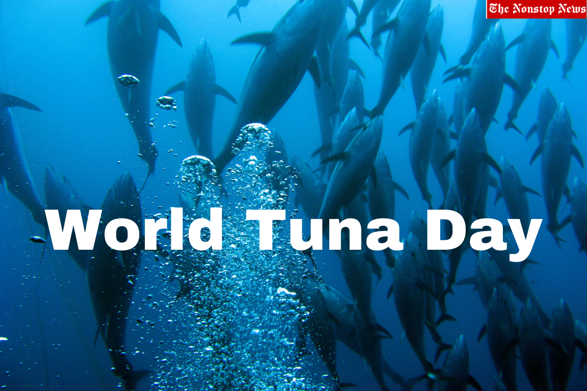 World Tuna Day 2023 Theme, Messages, Quotes, Images, Slogans, Captions ...