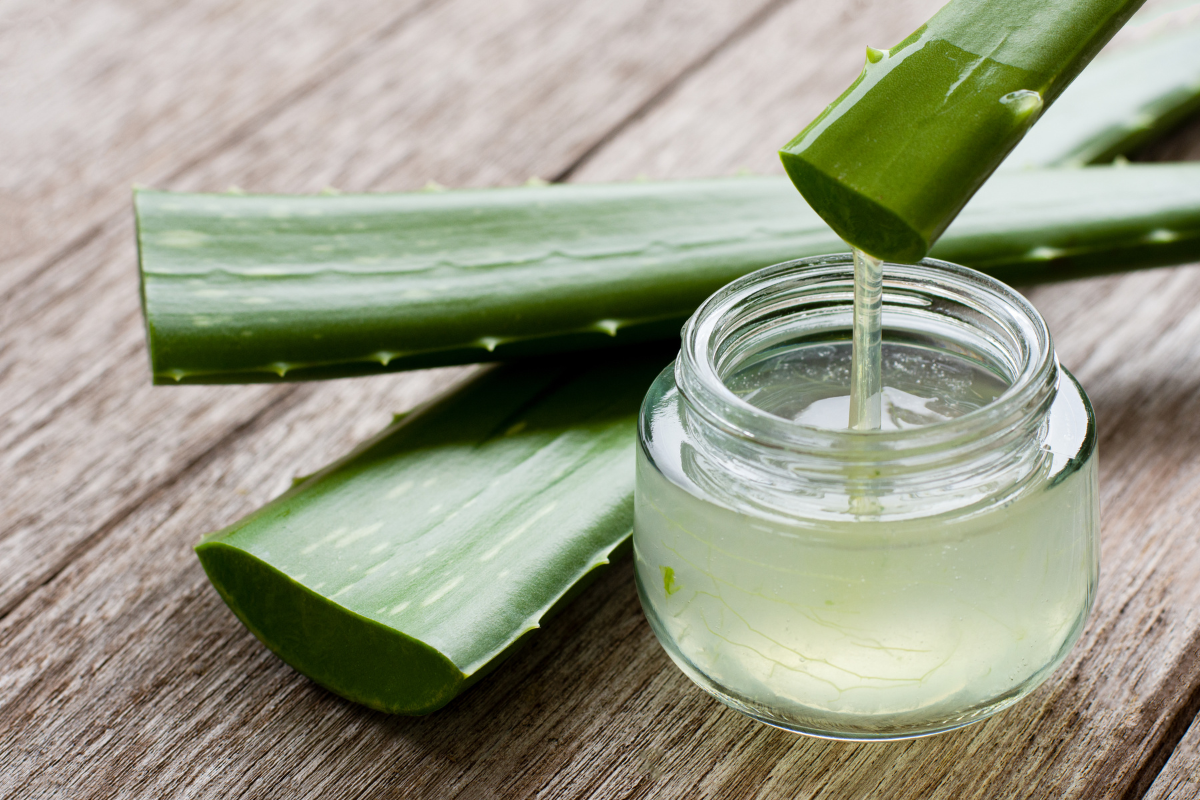 How Aloe Vera Gel help you get Glowing, Hydrating, and Soothing Skin
