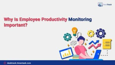 Why Is Employee Productivity Tracker Important?