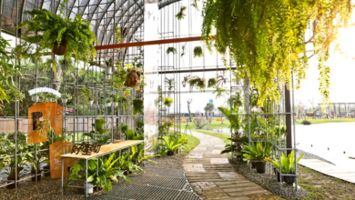 7 Tips to Make Your Greenhouse Installation Easy