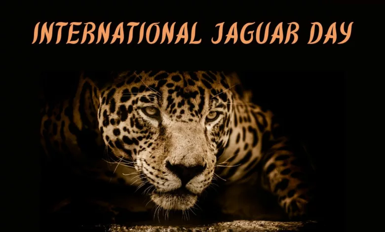 International Jaguar Day 2023 Theme, Quotes, Images, Messages, Slogans, Cliparts, and Captions