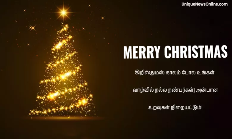 Merry Christmas 2023 Wishes in Tamil, Greetings, Shayari, Images, Messages, Banners, Posters, Quotes, and Captions