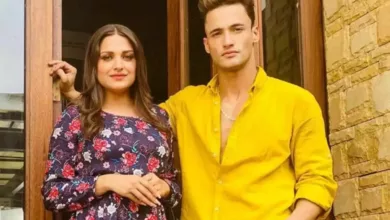 The Asim Riaz and Himanshi Khurana Breakup: A Detailed Guide