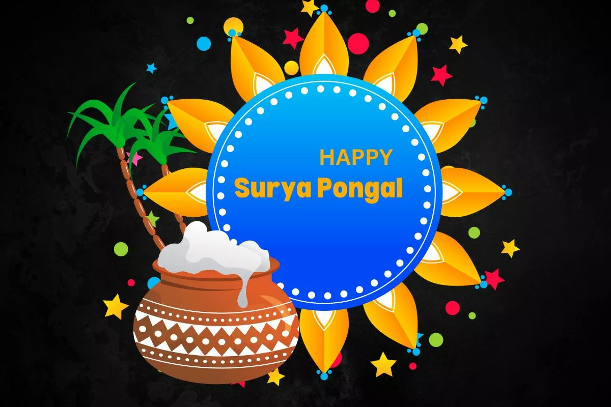 Surya Pongal 2024: 50+ Best WhatsApp Status Video Download For Free